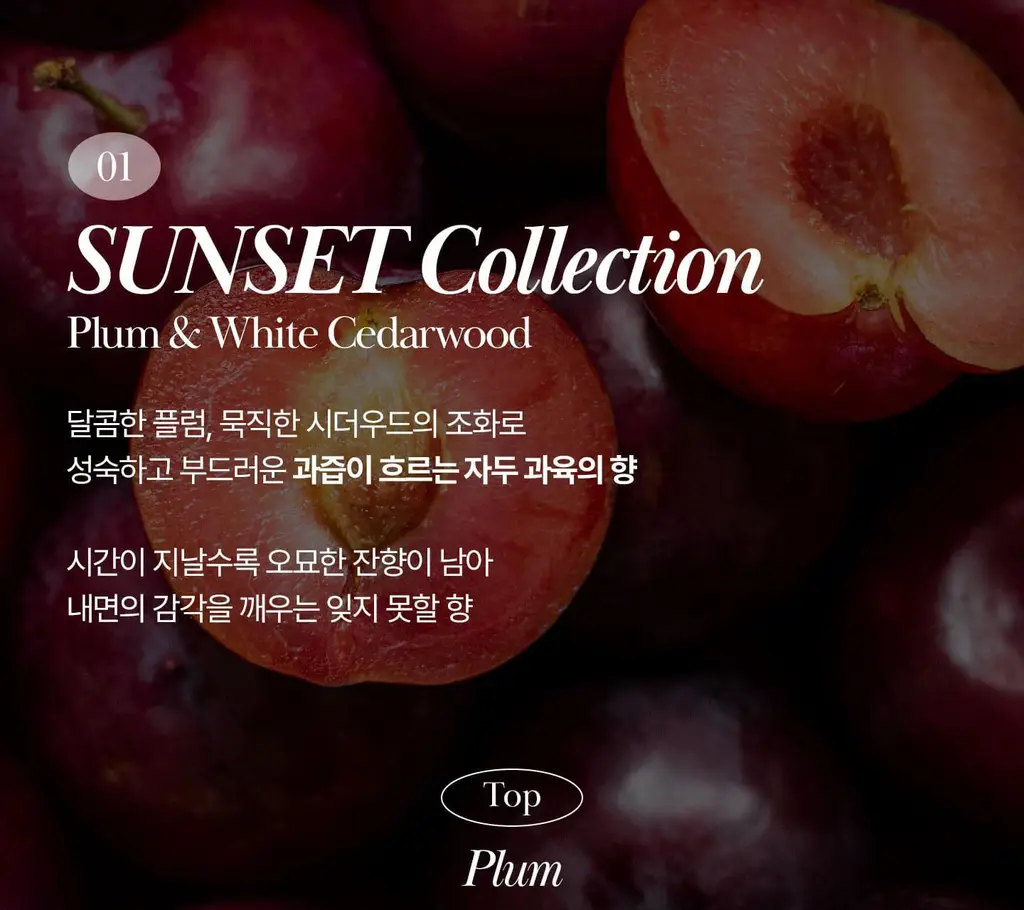 [NEW/이주빈PICK] 티엘라 퍼퓸 너리싱 바디크림 200ml 3종 택 1 상세페이지 45